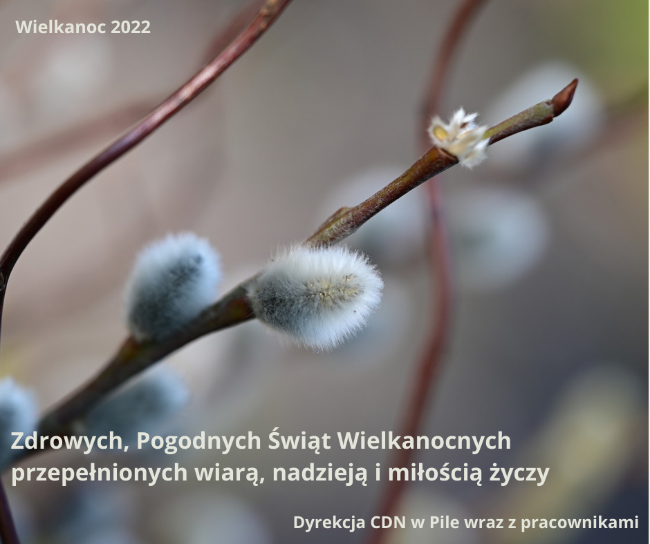 Kartka z życzeniami