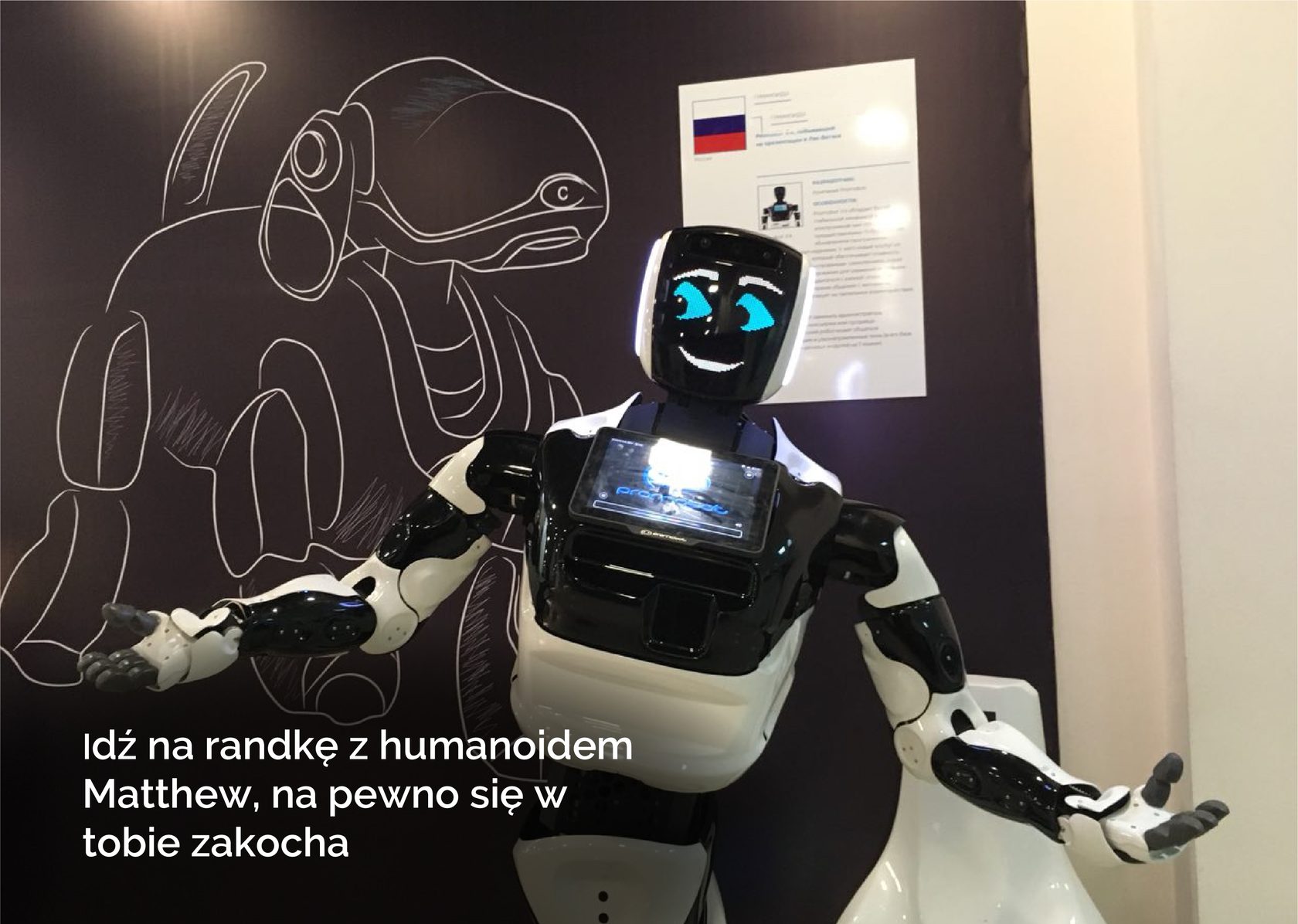 Miasto robotów